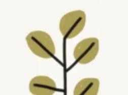 极简植物小画画起来 - 图画吧TUHUABA