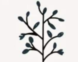 极简植物小画画起来 - 图画吧TUHUABA