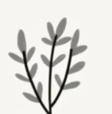 极简植物小画画起来 - 图画吧TUHUABA