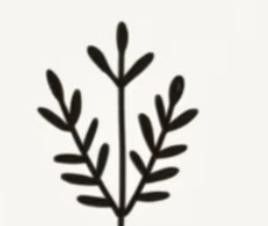 极简植物小画画起来 - 图画吧TUHUABA