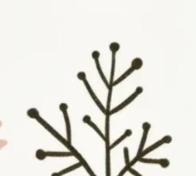 极简植物小画画起来 - 图画吧TUHUABA