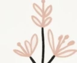 极简植物小画画起来 - 图画吧TUHUABA