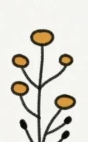 极简植物小画画起来 - 图画吧TUHUABA