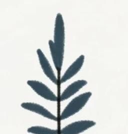 极简植物小画画起来 - 图画吧TUHUABA