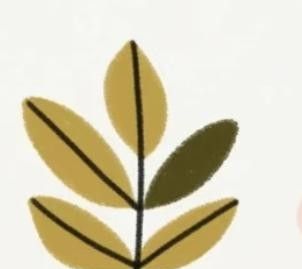 极简植物小画画起来 - 图画吧TUHUABA