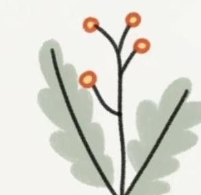 极简植物小画画起来 - 图画吧TUHUABA