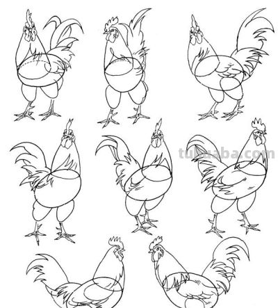 "画鸡"=画"吉"！用一幅画接财运，0基础教程来了 - 图画吧TUHUABA