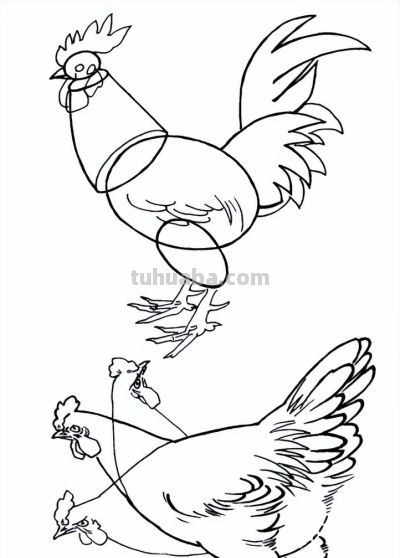 "画鸡"=画"吉"！用一幅画接财运，0基础教程来了 - 图画吧TUHUABA