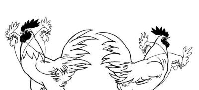 "画鸡"=画"吉"！用一幅画接财运，0基础教程来了 - 图画吧TUHUABA