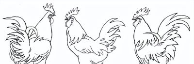 "画鸡"=画"吉"！用一幅画接财运，0基础教程来了 - 图画吧TUHUABA