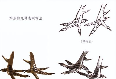 "画鸡"=画"吉"！用一幅画接财运，0基础教程来了 - 图画吧TUHUABA