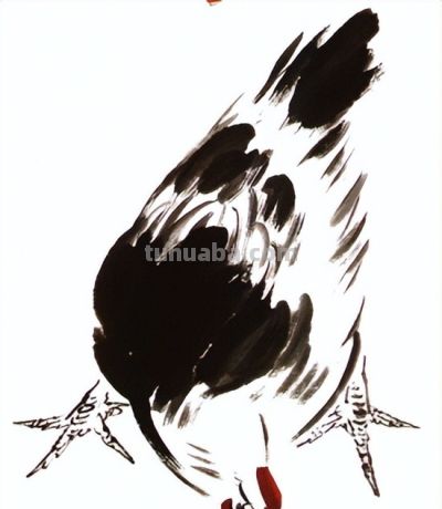 "画鸡"=画"吉"！用一幅画接财运，0基础教程来了 - 图画吧TUHUABA