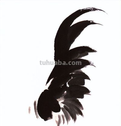 "画鸡"=画"吉"！用一幅画接财运，0基础教程来了 - 图画吧TUHUABA