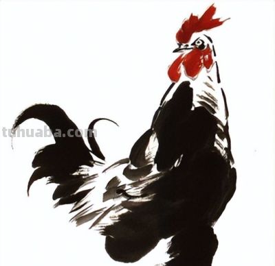 "画鸡"=画"吉"！用一幅画接财运，0基础教程来了 - 图画吧TUHUABA