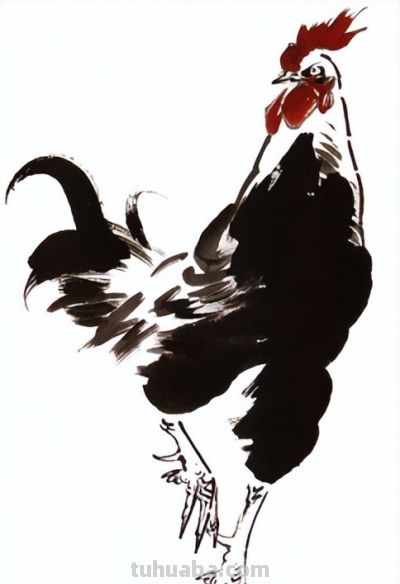"画鸡"=画"吉"！用一幅画接财运，0基础教程来了 - 图画吧TUHUABA