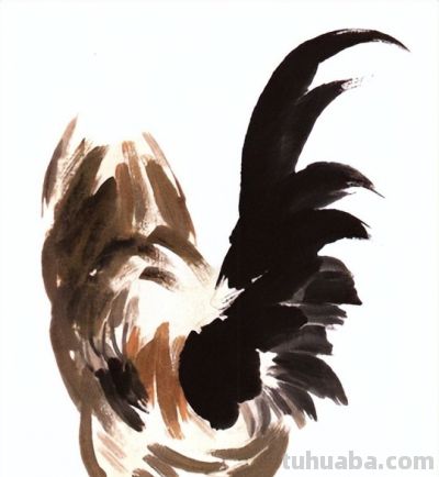 "画鸡"=画"吉"！用一幅画接财运，0基础教程来了 - 图画吧TUHUABA