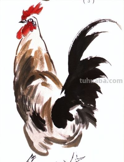 "画鸡"=画"吉"！用一幅画接财运，0基础教程来了 - 图画吧TUHUABA