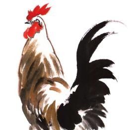 "画鸡"=画"吉"！用一幅画接财运，0基础教程来了 - 图画吧TUHUABA