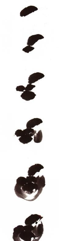 "画鸡"=画"吉"！用一幅画接财运，0基础教程来了 - 图画吧TUHUABA