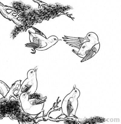 分享一组漂亮的白描小鸟画谱！ - 今日头条