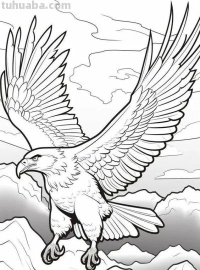 飞翔的老鹰手绘线稿，临摹学画 - 图画吧TUHUABA