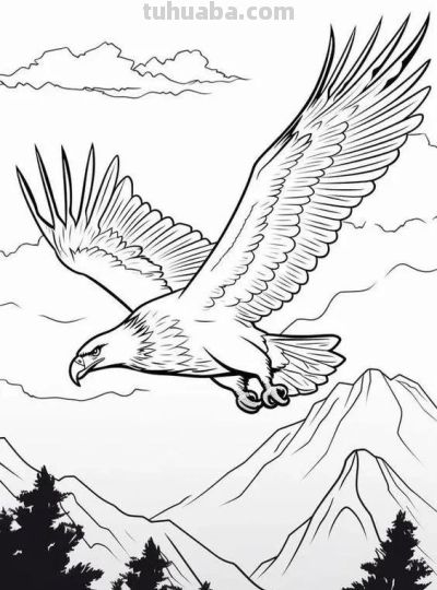 飞翔的老鹰手绘线稿，临摹学画 - 图画吧TUHUABA