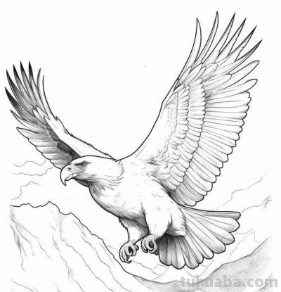 飞翔的老鹰手绘线稿，临摹学画 - 图画吧TUHUABA