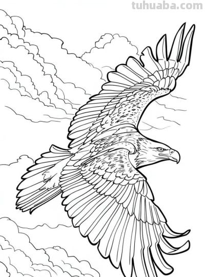 飞翔的老鹰手绘线稿，临摹学画 - 图画吧TUHUABA