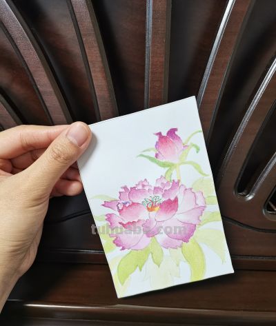 07 牡丹（绘画 水彩 果花甘06） - 图画吧TUHUABA