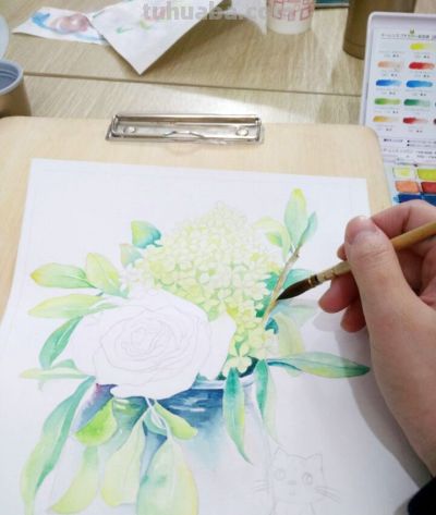 零基础学水彩/水彩画入门教程 - 图画吧TUHUABA