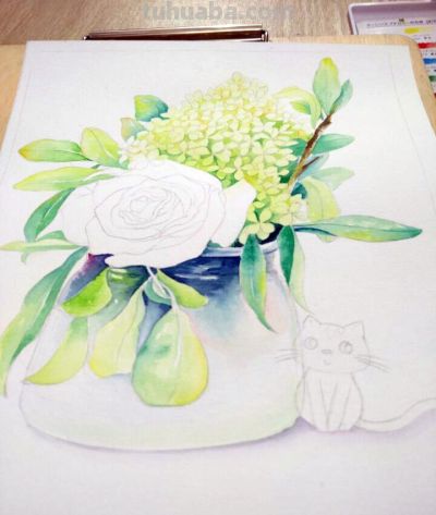 零基础学水彩/水彩画入门教程 - 图画吧TUHUABA