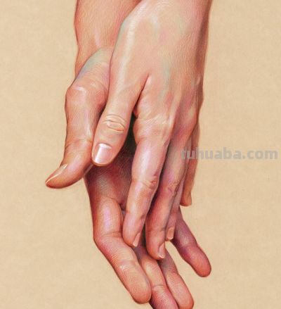 在看“亿”遍！大佬笔下的写实细节，这彩铅画神了 - 图画吧TUHUABA