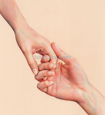 在看“亿”遍！大佬笔下的写实细节，这彩铅画神了 - 图画吧TUHUABA