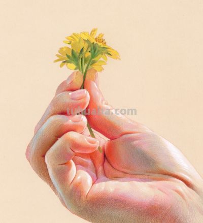 在看“亿”遍！大佬笔下的写实细节，这彩铅画神了 - 图画吧TUHUABA