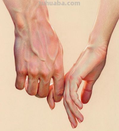 在看“亿”遍！大佬笔下的写实细节，这彩铅画神了 - 图画吧TUHUABA