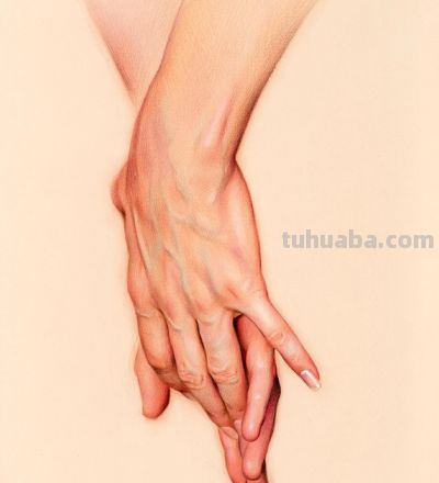 在看“亿”遍！大佬笔下的写实细节，这彩铅画神了 - 图画吧TUHUABA