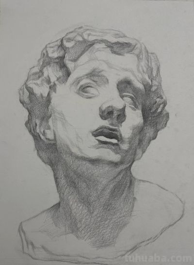 很规矩的素描石膏像步骤，逻辑清晰、技法成熟 - 图画吧TUHUABA