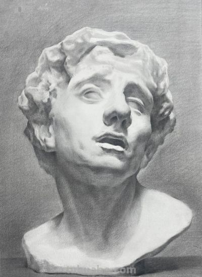 很规矩的素描石膏像步骤，逻辑清晰、技法成熟 - 图画吧TUHUABA