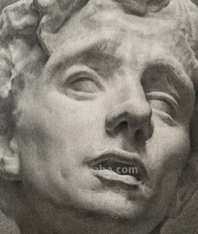 很规矩的素描石膏像步骤，逻辑清晰、技法成熟 - 图画吧TUHUABA