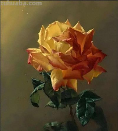 现代俄罗斯艺术家阿列克谢.安东诺夫极致的静物花卉油画作品欣赏 - 今日头条