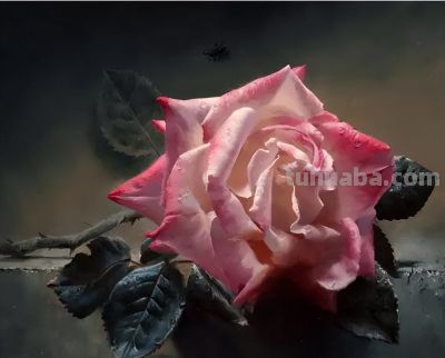 现代俄罗斯艺术家阿列克谢.安东诺夫极致的静物花卉油画作品欣赏 - 今日头条 现代俄罗斯艺术家阿列克谢.安东诺夫极致的静物花卉油画作品欣赏 - 图画吧TUHUABA