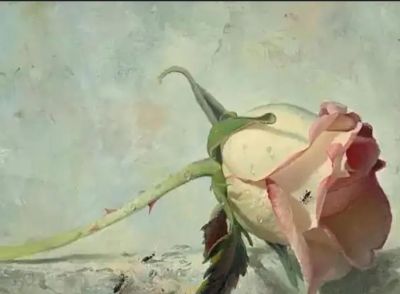 现代俄罗斯艺术家阿列克谢.安东诺夫极致的静物花卉油画作品欣赏 - 今日头条 现代俄罗斯艺术家阿列克谢.安东诺夫极致的静物花卉油画作品欣赏 - 图画吧TUHUABA