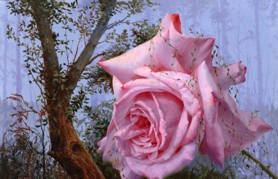 现代俄罗斯艺术家阿列克谢.安东诺夫极致的静物花卉油画作品欣赏 - 今日头条 现代俄罗斯艺术家阿列克谢.安东诺夫极致的静物花卉油画作品欣赏 - 图画吧TUHUABA