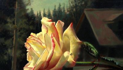 现代俄罗斯艺术家阿列克谢.安东诺夫极致的静物花卉油画作品欣赏 - 今日头条 现代俄罗斯艺术家阿列克谢.安东诺夫极致的静物花卉油画作品欣赏 - 图画吧TUHUABA