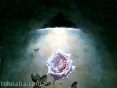 现代俄罗斯艺术家阿列克谢.安东诺夫极致的静物花卉油画作品欣赏 - 今日头条 现代俄罗斯艺术家阿列克谢.安东诺夫极致的静物花卉油画作品欣赏 - 图画吧TUHUABA