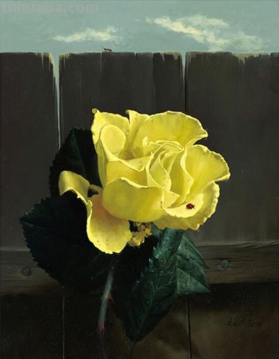 现代俄罗斯艺术家阿列克谢.安东诺夫极致的静物花卉油画作品欣赏 - 今日头条 现代俄罗斯艺术家阿列克谢.安东诺夫极致的静物花卉油画作品欣赏 - 图画吧TUHUABA