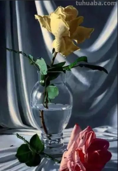 现代俄罗斯艺术家阿列克谢.安东诺夫极致的静物花卉油画作品欣赏 - 今日头条 现代俄罗斯艺术家阿列克谢.安东诺夫极致的静物花卉油画作品欣赏 - 图画吧TUHUABA