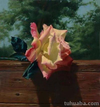 现代俄罗斯艺术家阿列克谢.安东诺夫极致的静物花卉油画作品欣赏 - 今日头条 现代俄罗斯艺术家阿列克谢.安东诺夫极致的静物花卉油画作品欣赏 - 图画吧TUHUABA