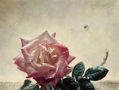 现代俄罗斯艺术家阿列克谢.安东诺夫极致的静物花卉油画作品欣赏 - 今日头条 现代俄罗斯艺术家阿列克谢.安东诺夫极致的静物花卉油画作品欣赏 - 图画吧TUHUABA