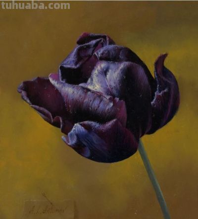 现代俄罗斯艺术家阿列克谢.安东诺夫极致的静物花卉油画作品欣赏 - 今日头条 现代俄罗斯艺术家阿列克谢.安东诺夫极致的静物花卉油画作品欣赏 - 图画吧TUHUABA